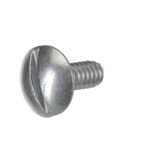 A US Range F539 truss head screw with a metal head.