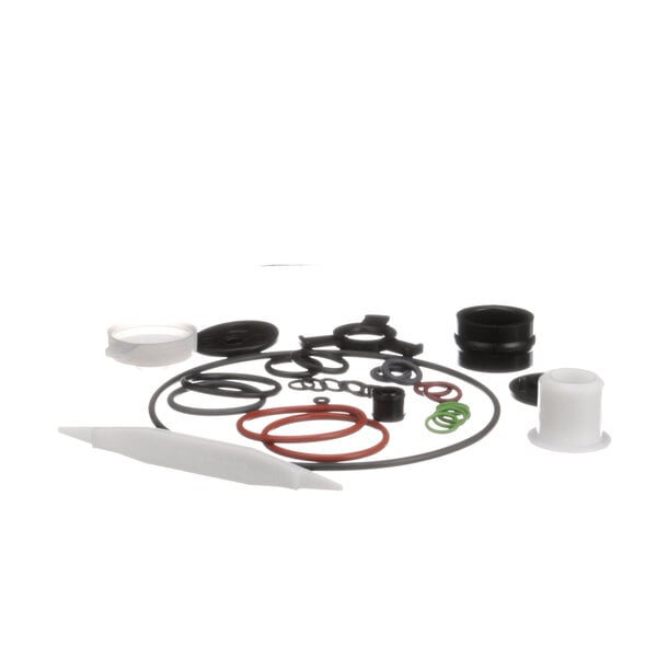 A Taylor X49463-62 Tune Up Kit with several different sizes of rubber seals.