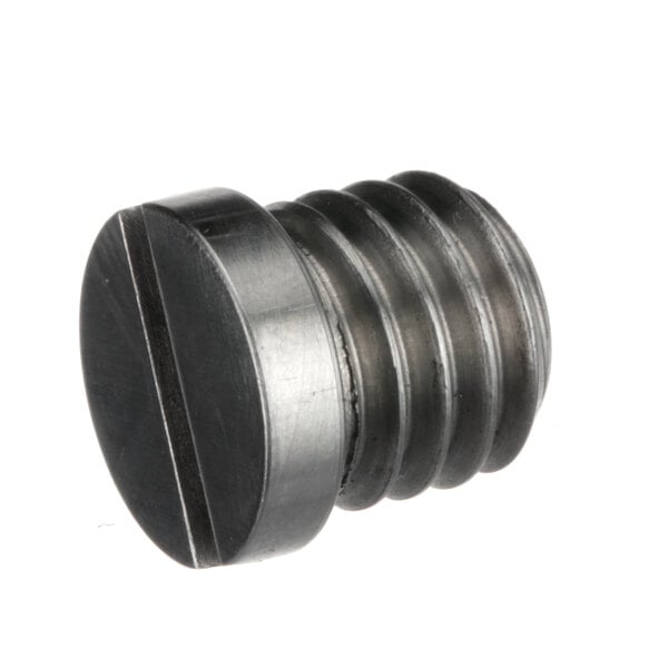 A close-up of a black screw with a metal cap.