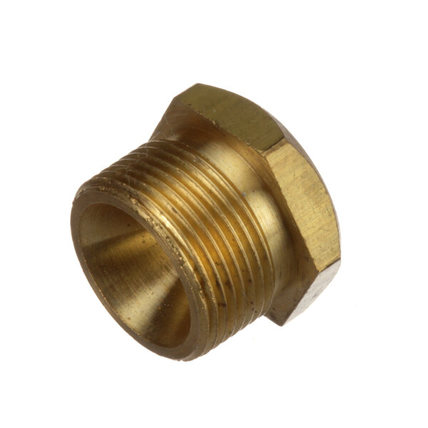 A close-up of a brass threaded male fitting.