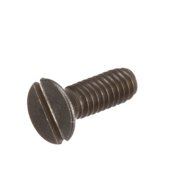 A close-up of a Lincoln 369931 screw.