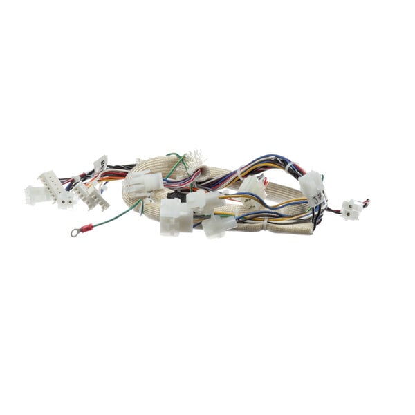 A Pitco B6747101 main wire harness with a bunch of wires.