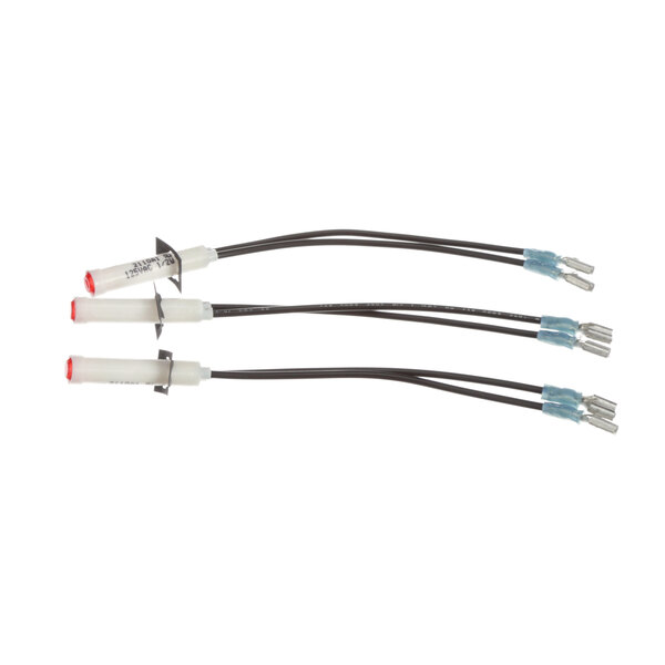 A group of wires with three connectors, two red and one white, and a black wire.
