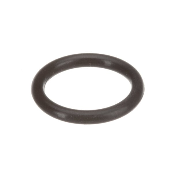 A black round o-ring with a white background.