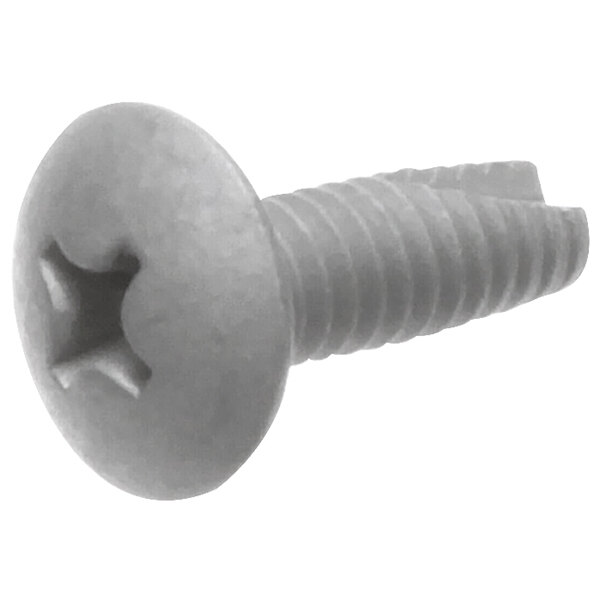 A close-up of a Norlake screw.