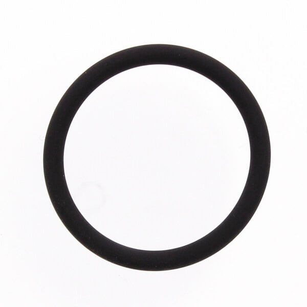 A black rubber O-ring.