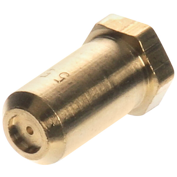 A close-up of a brass threaded metal connector.