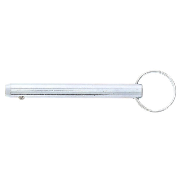 A silver hinge pin with a metal handle and ring.