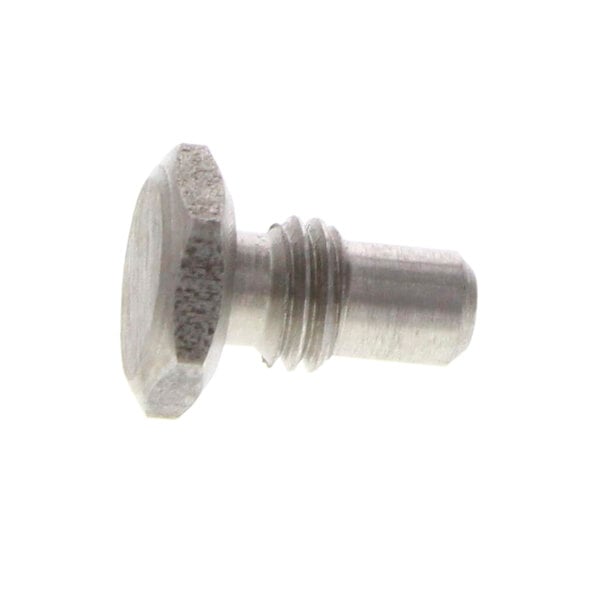 A close-up of a stainless steel screw.