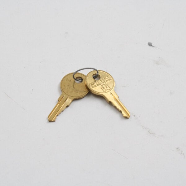 A close-up of a Norlake 054993 key on a ring with another key.