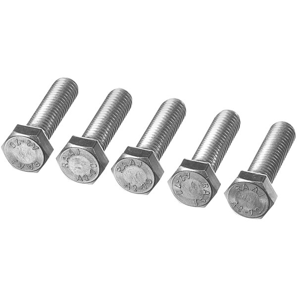 A group of Rational stainless steel hex screws with nuts.