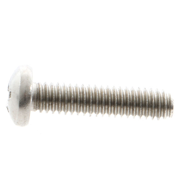 A close-up of a Blakeslee 10306 screw on a white background.