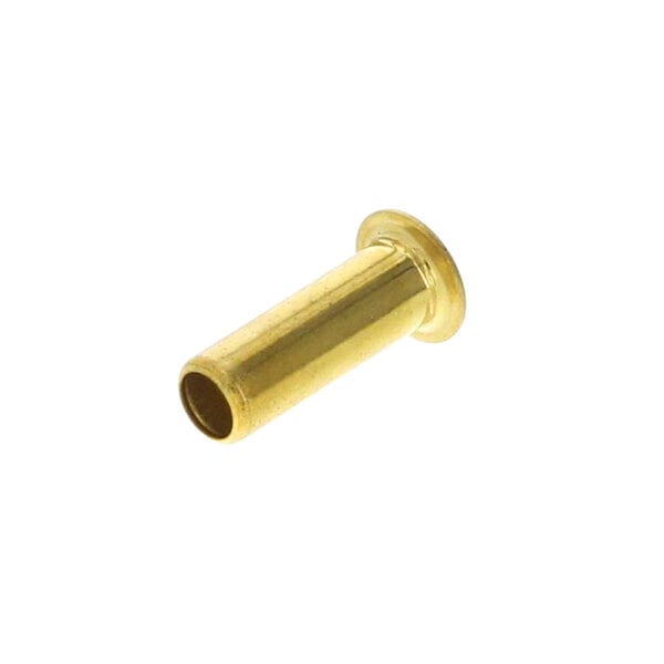 A close-up of a brass threaded pipe.