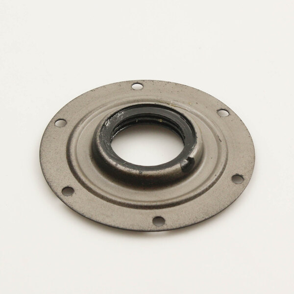 A round metal InSinkErator seal with a hole in the center.