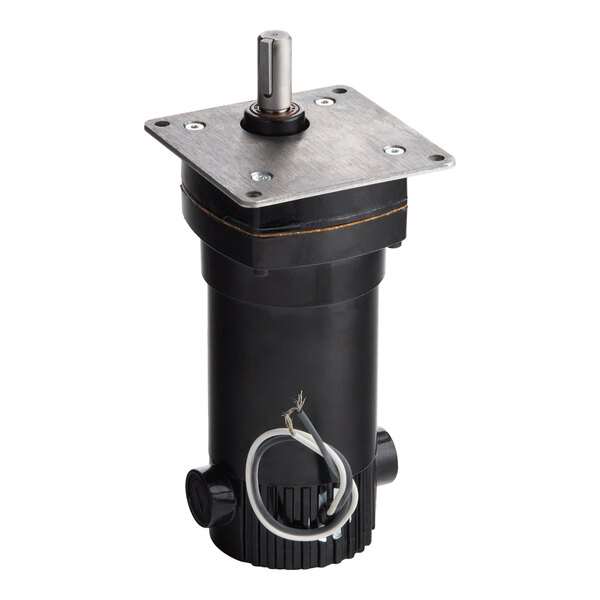 Globe 982-1BS Gear Motor