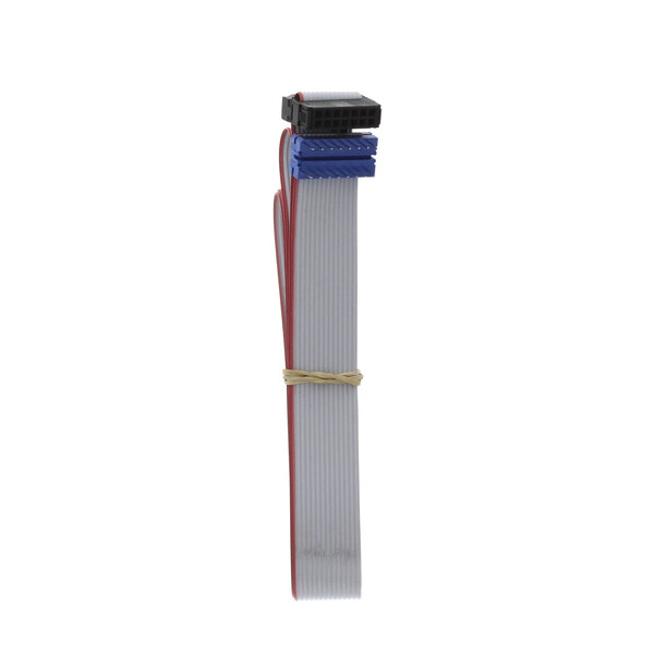 A close-up of a Middleby Marshall ribbon cable with red and blue connectors.