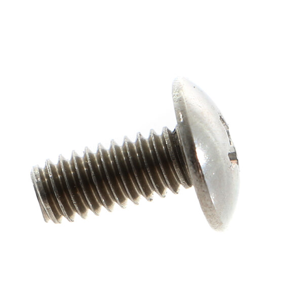 A close-up of a silver APW Wyott screw with a white background.