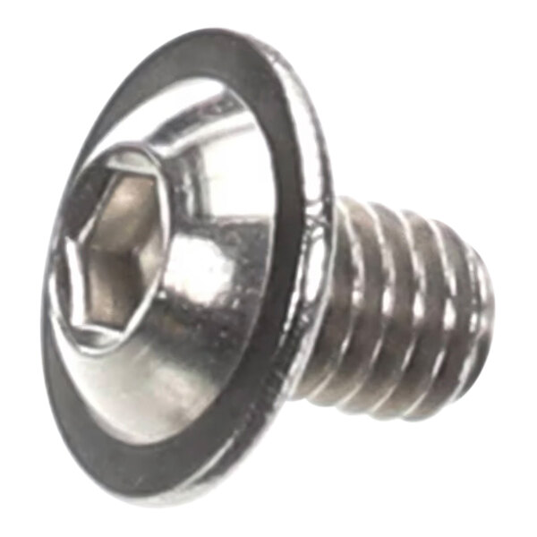 A close-up of a silver Convotherm screw with a metal nut.