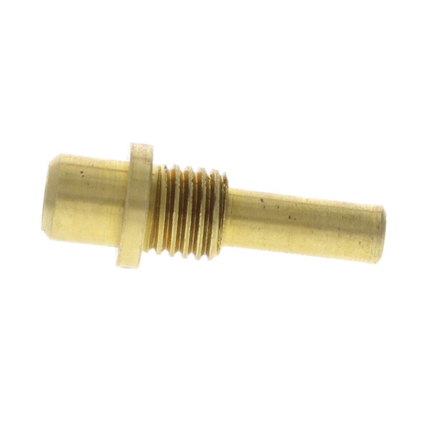 A close-up of a brass threaded screw.