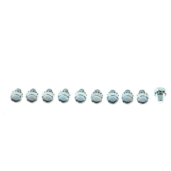 A row of screws and nuts on a white background.