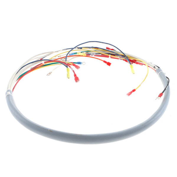 a close-up of several colored wires