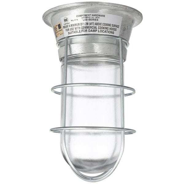 A clear glass light fixture with a metal wire holder.