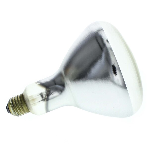 An Alto-Shaam LP-33781 lamp with a clear base on a white background.