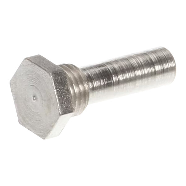 A close-up of a stainless steel hinge pin with a hex nut.