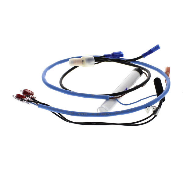 A blue and black wire harness attached to a Mannhart Reed Switch.