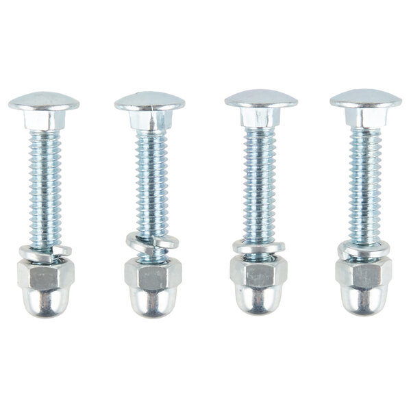 A group of screws with nuts.