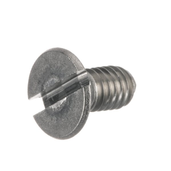 A close-up of a Robot Coupe 203008 screw with a metal head.