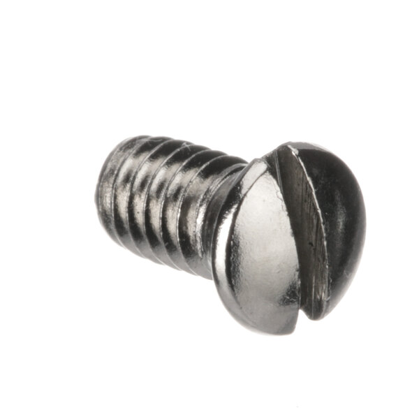 A close-up of a Globe lock bushing stop screw with a metal head.