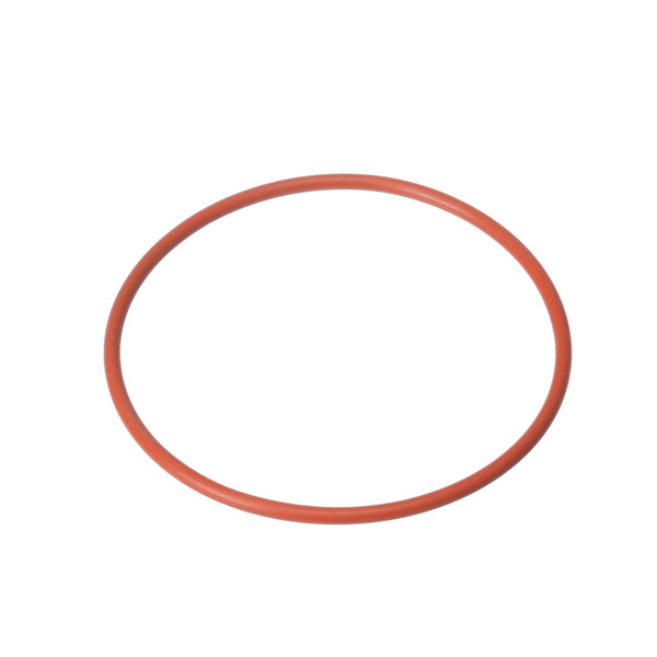 An orange rubber o-ring with a red circle on a white background.