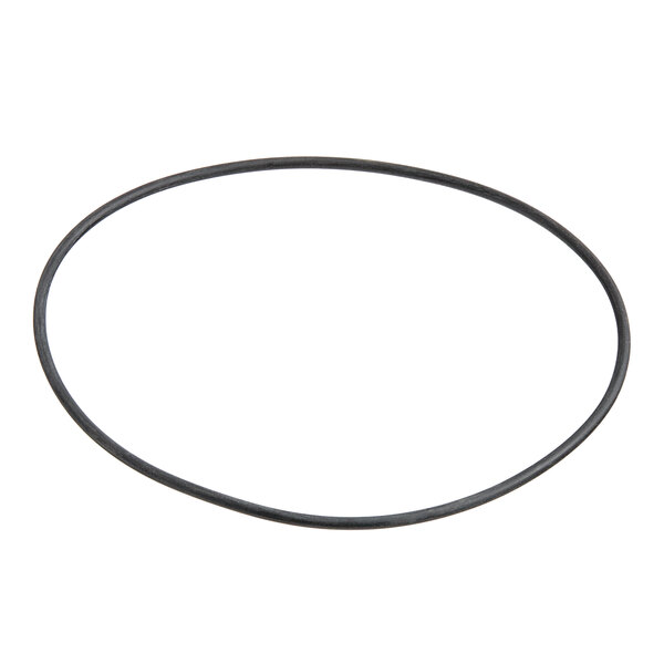 A black rubber O-ring.