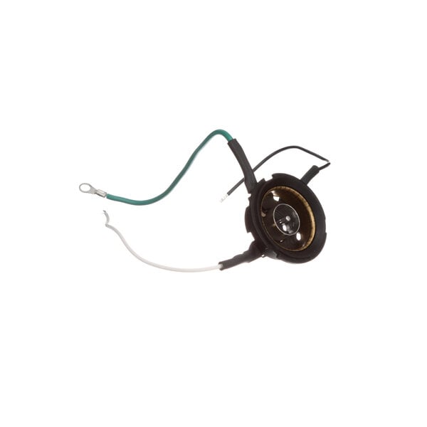 A light bulb with wires connected to it.
