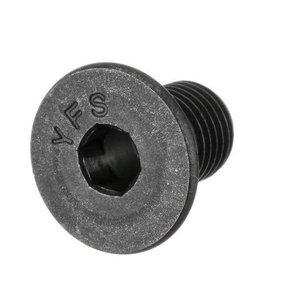 A close-up of a black Berkel screw with a hexagon head.