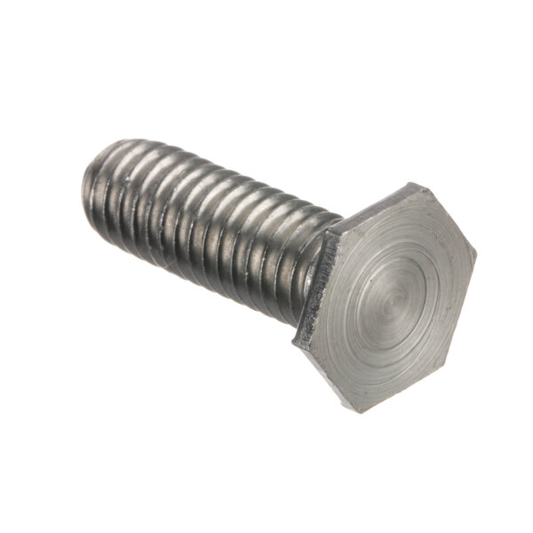 A Berkel hex head screw.