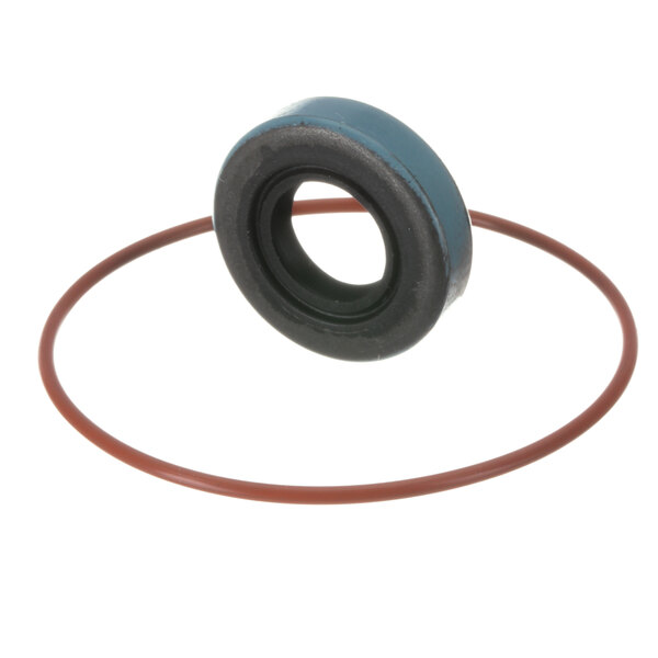 A close-up of a blue and black rubber seal.