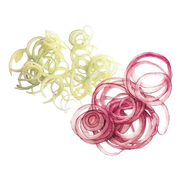 Thinly sliced rings of red and white onions are arranged on a white background.
