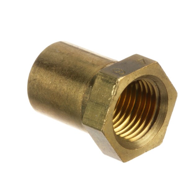 A close-up of a brass threaded nut.