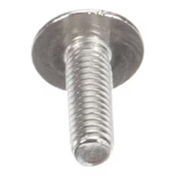 A close-up view of a metallic screw with a flat, round head and threaded shaft.