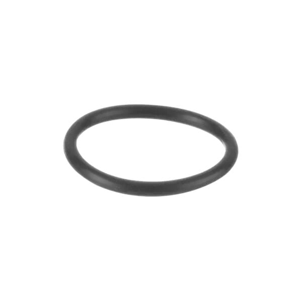 A black Alliance Laundry O-ring.