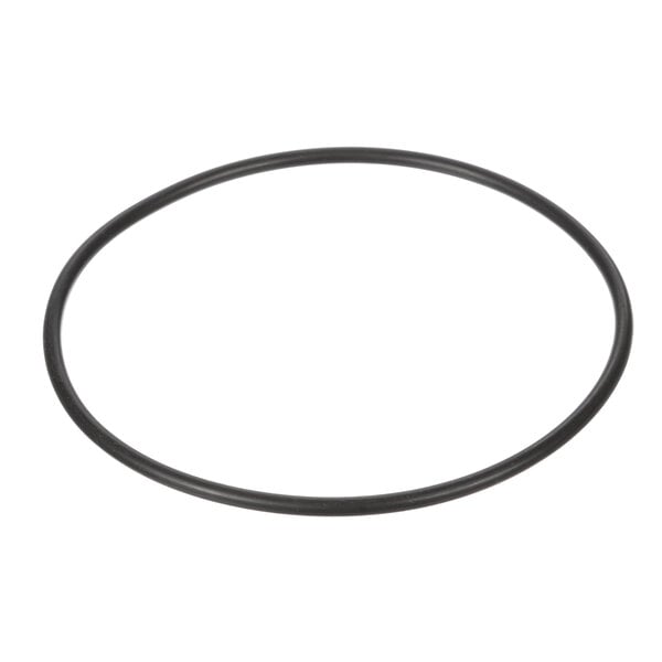 A black rubber O-ring.