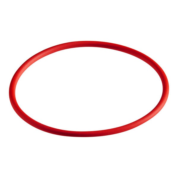 A red rubber gasket with a white background.