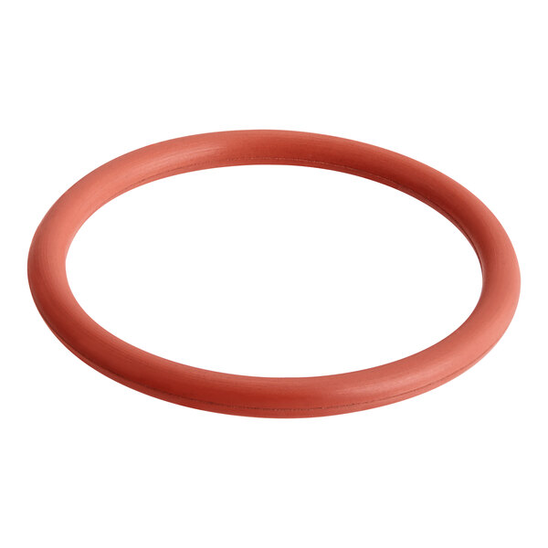 A red rubber O-Ring with a white background.