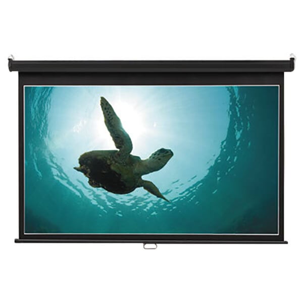 A Quartet white wall mount projection screen with a turtle swimming in the water.