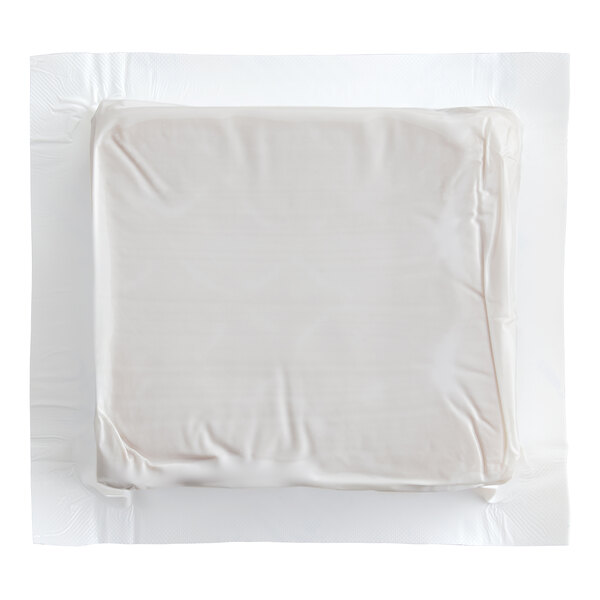 A rectangular foam brick cold pack sealed in white plastic packaging.