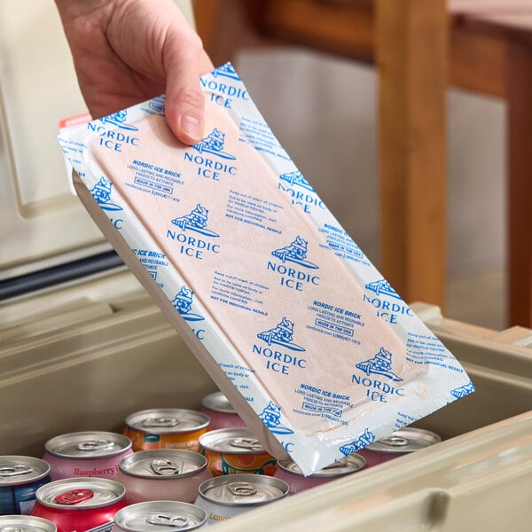 Nordic 28 oz. 9" x 4" x 1 1/2" Foam Brick Cold Pack NB31 - 18/Case