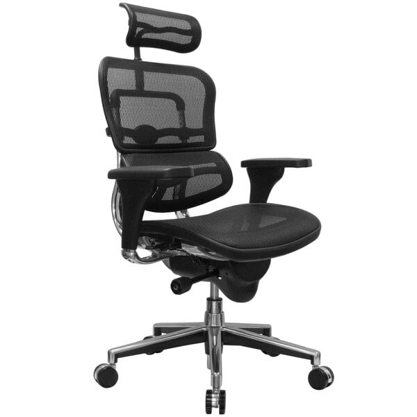 A black Eurotech Ergohuman office chair with mesh back and arms.