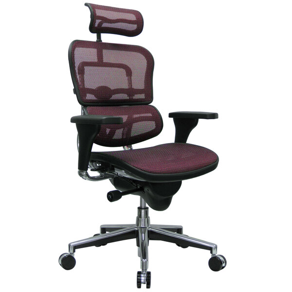 A Eurotech Ergohuman office chair with a mesh back.
